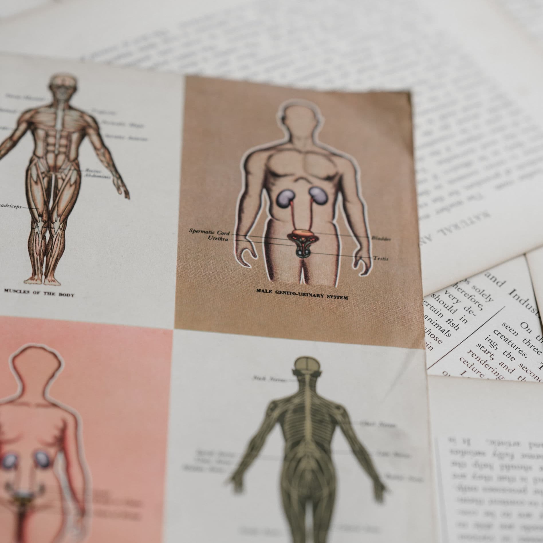 Il y a quelque chose qui coince... et si c'était votre circulation lymphatique ?